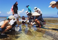 海边生物观察（不定期举行）