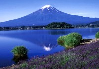 Oishi Park to See Lake Kawaguchi & Mt Fuji