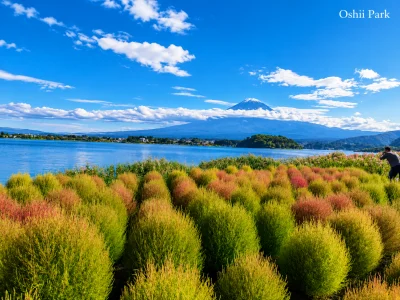 Oishi Park