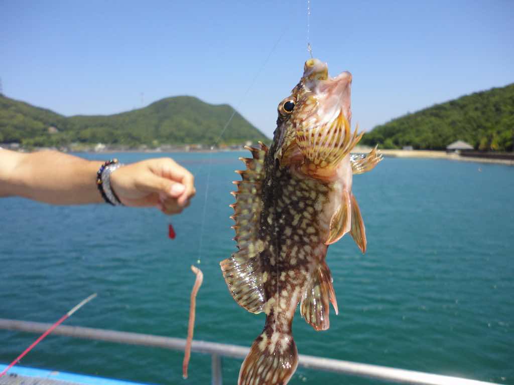 Japan Fishing