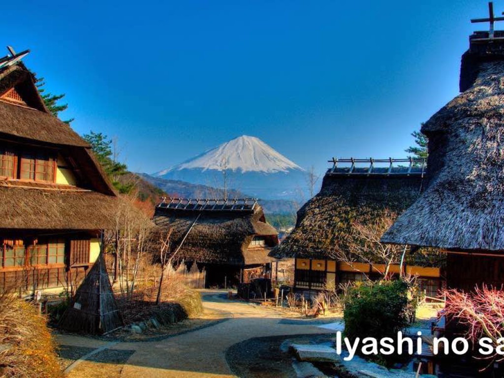 Paket Tour Bermain Salju Sambil Melihat Gunung Fuji dari Kawaguchi 3