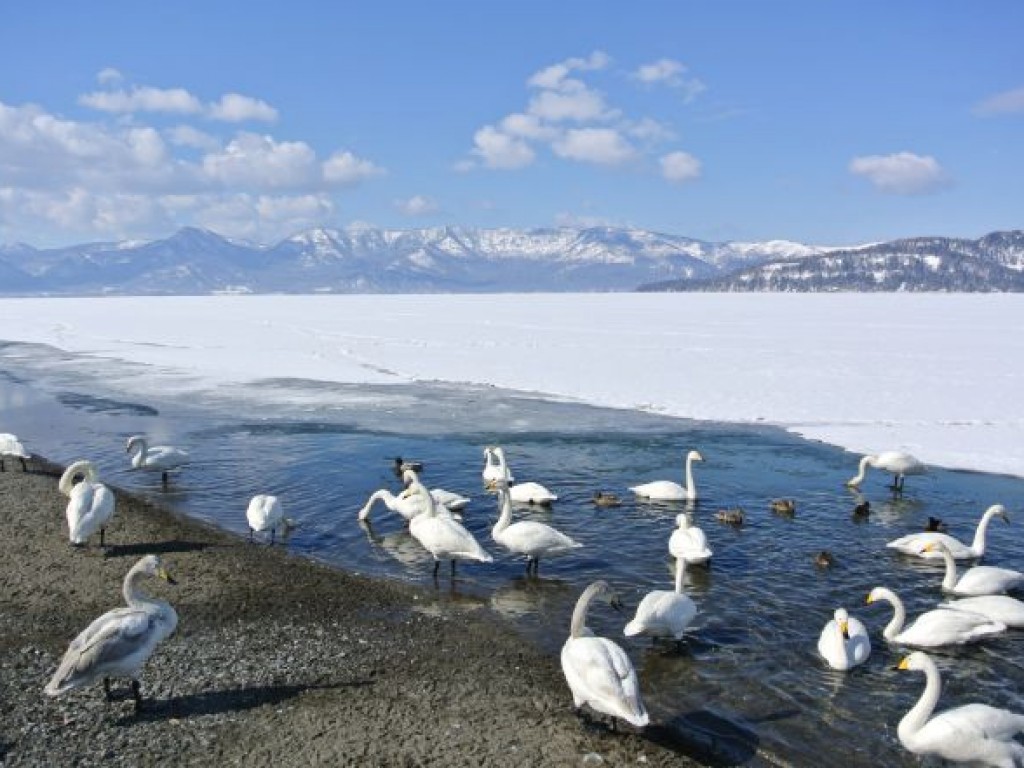 Beautiful Winter Hokkaido Ice & Snow Tour 4