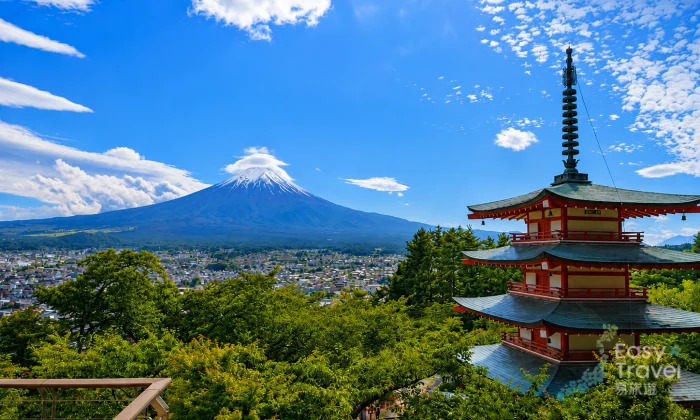 Classic Mt. Fuji Day Trip – Iconic Views, Culture & Shopping in One Day