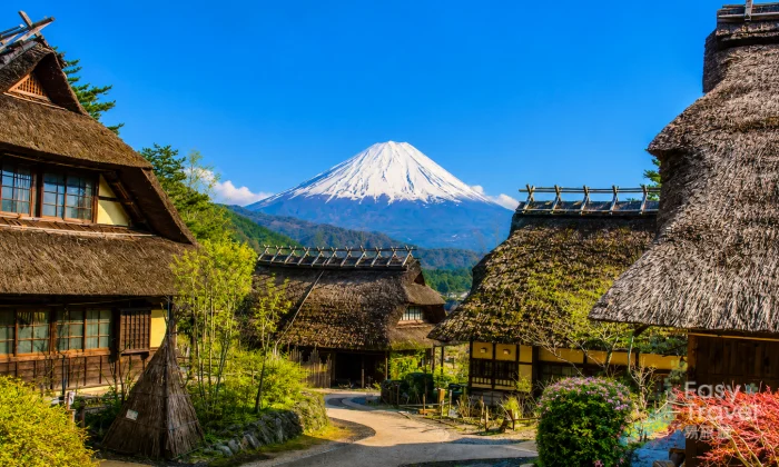 Fuji Kawaguchi Day Trip with Private Car and Driver