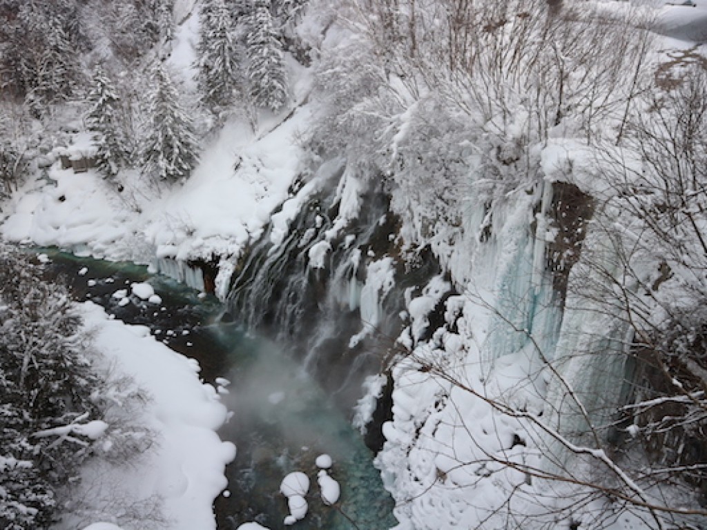 Winter Day Trip to Furano Area from Sapporo 0