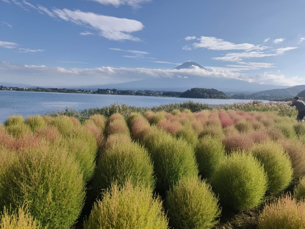 Classic Mt. Fuji Day Trip – Iconic Views, Culture & Shopping in One Day 2