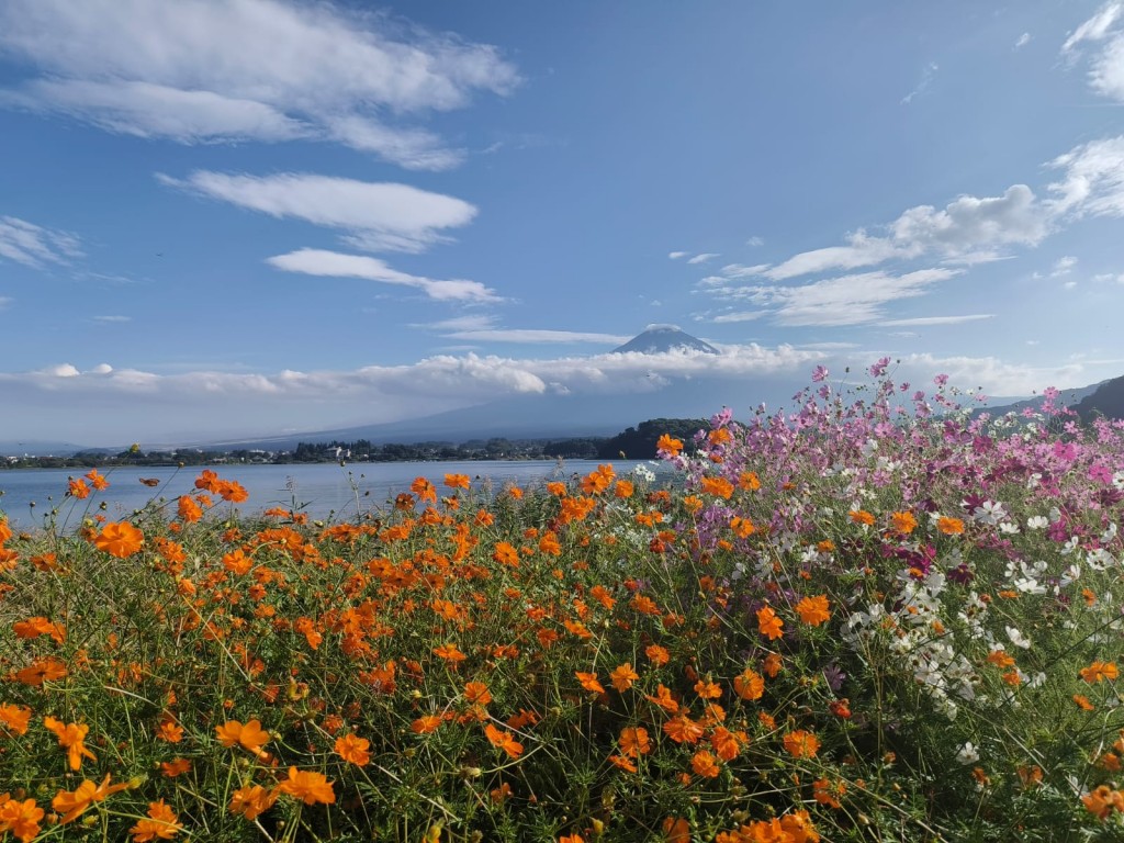 Classic Mt. Fuji Day Trip – Iconic Views, Culture & Shopping in One Day 4