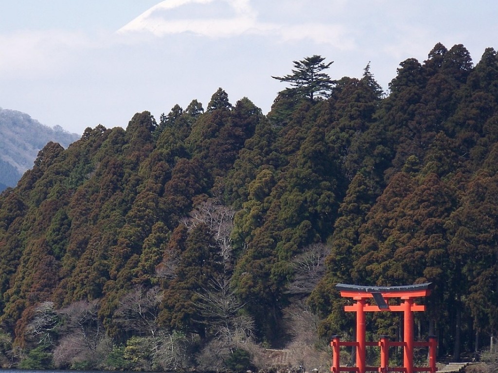 Fuji Hakone Day Trip 3