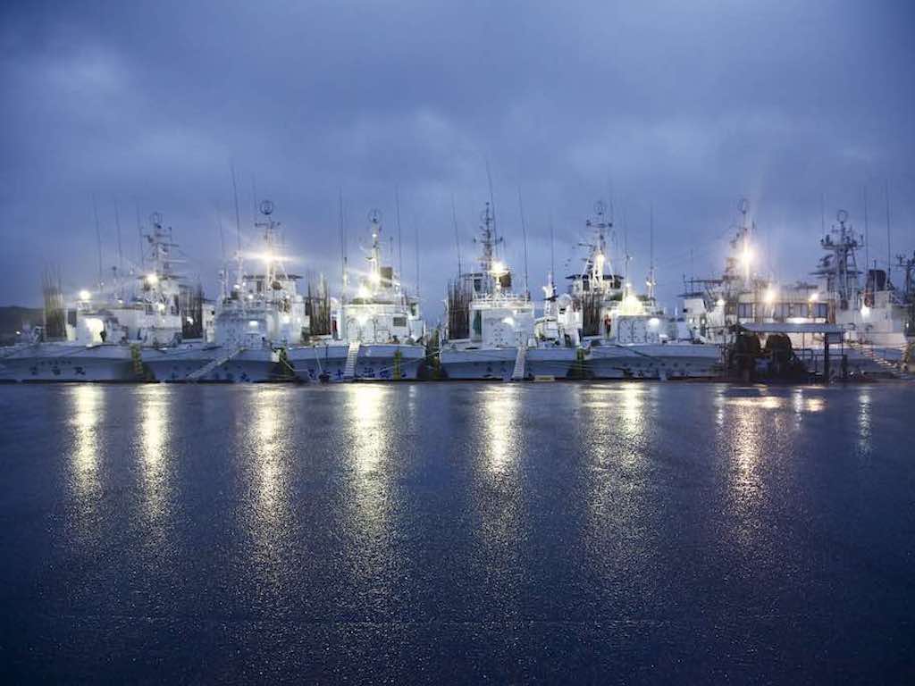 Fishing in Okinawa Private Tour Packages in Japan Easy Travel