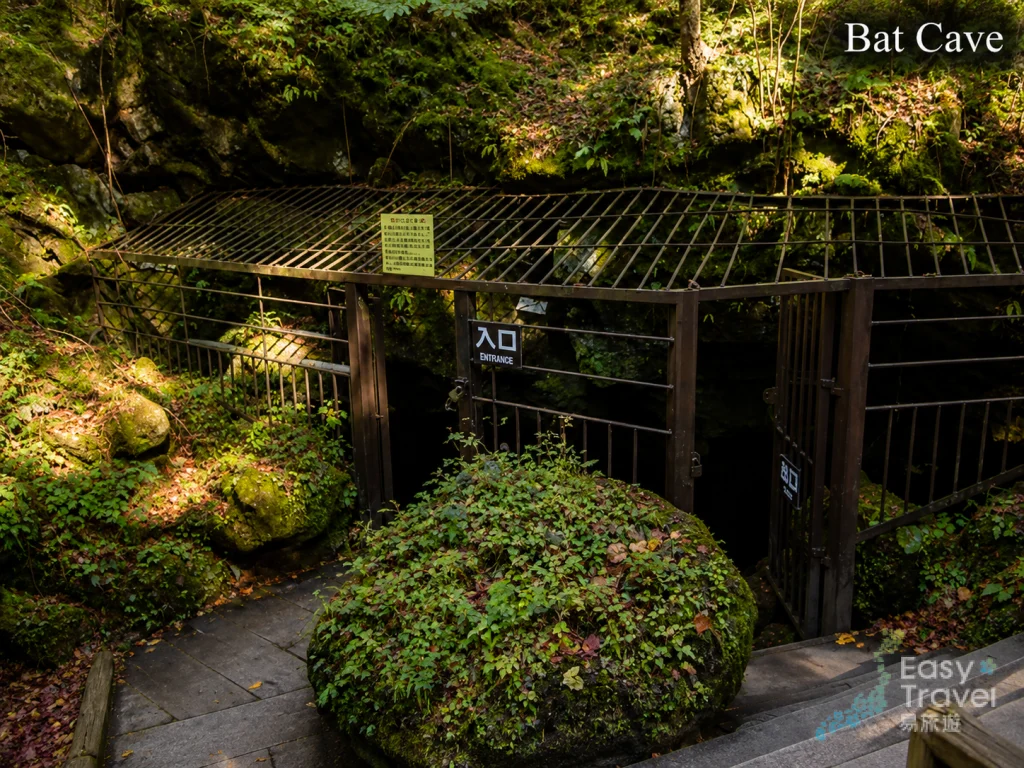 Bat Cave Kawaguchiko