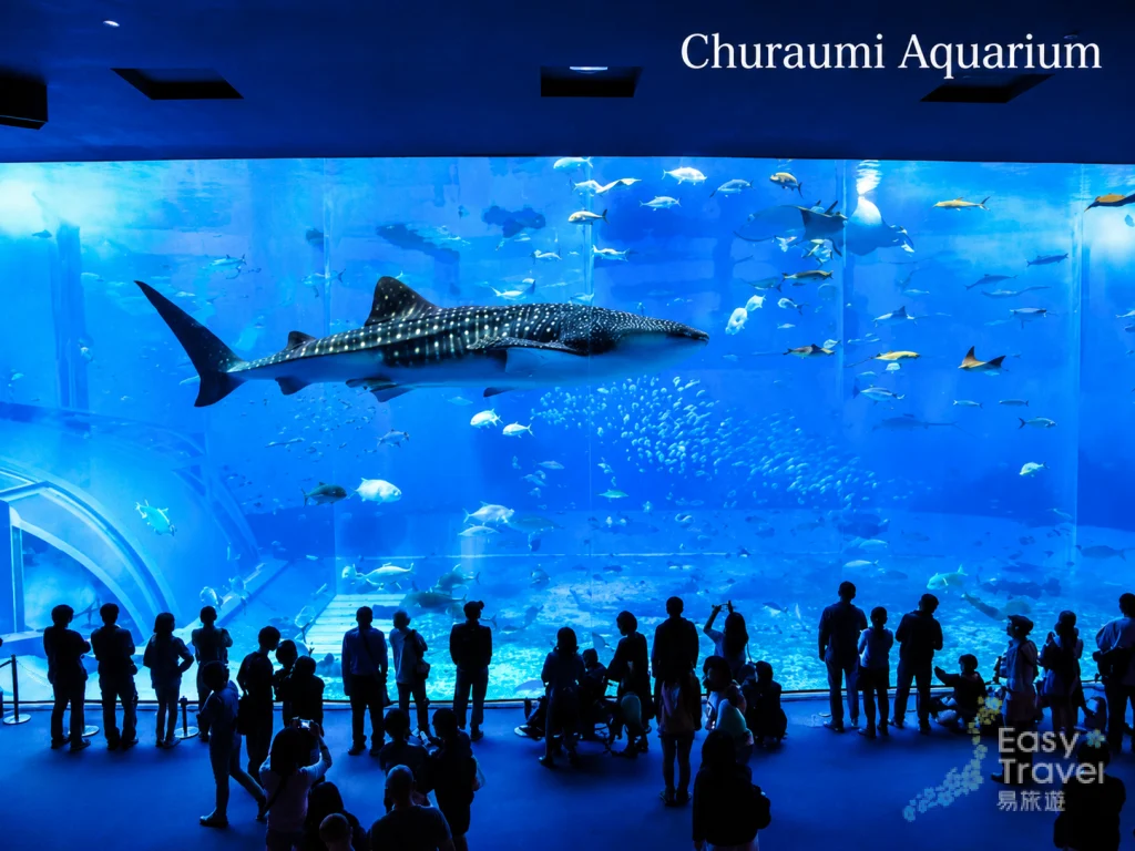 Churaumi Aquarium Fish Tank