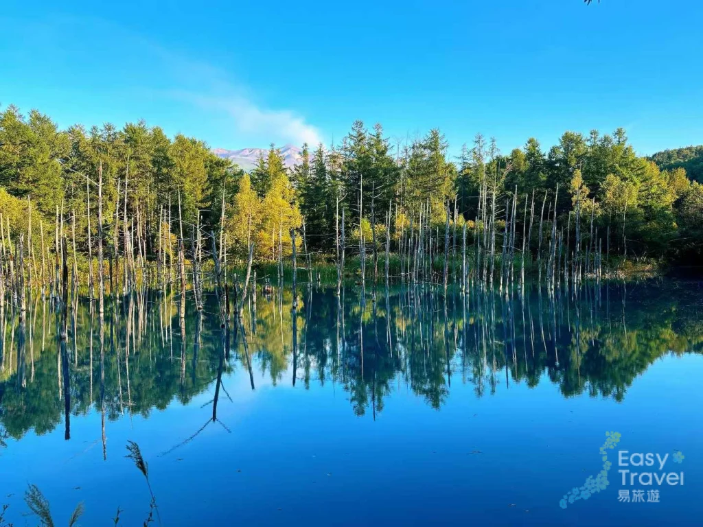 Shirogane Blue Pond