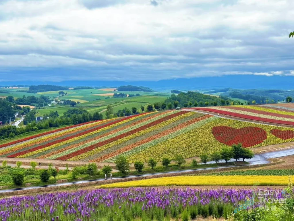 Shikisai no Oka Flower