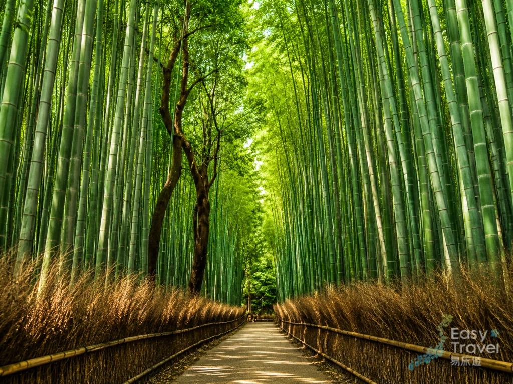 Arashiyama