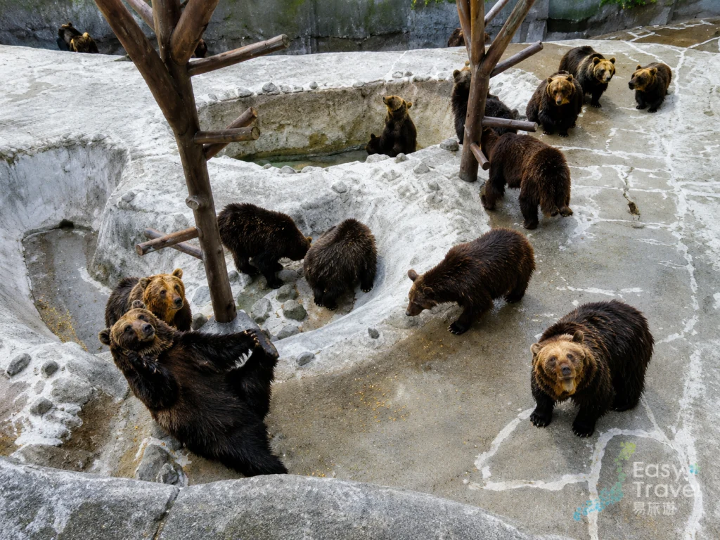 Noboribetsu Bear Park