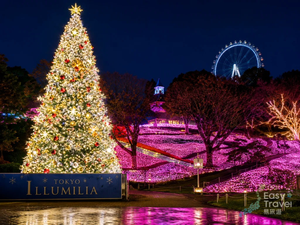 Sagamiko Winter Illumination