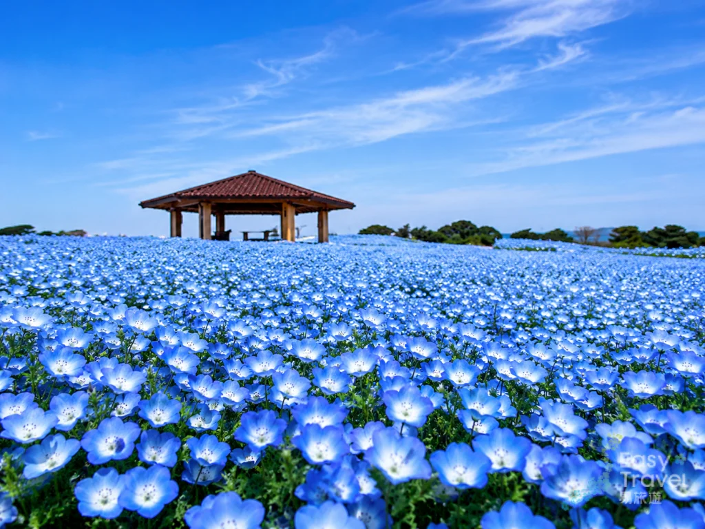 海之中道海滨公园