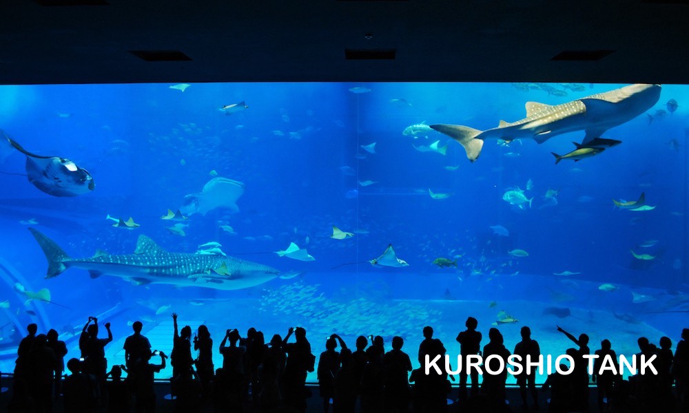 沖繩美海水族館