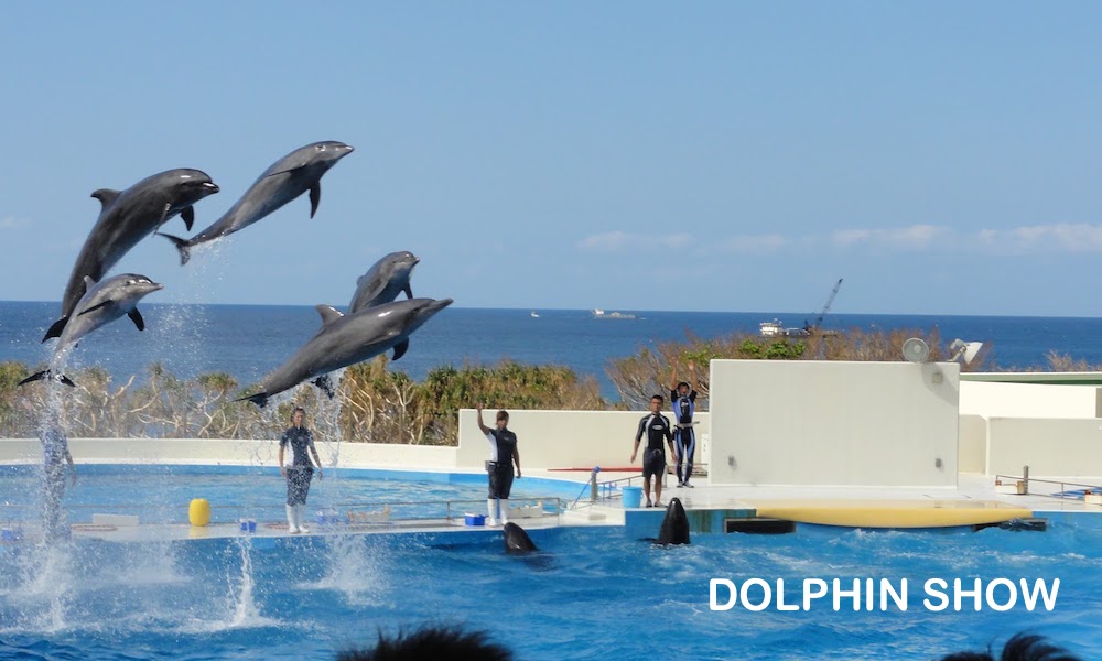 Churaumi Aquarium