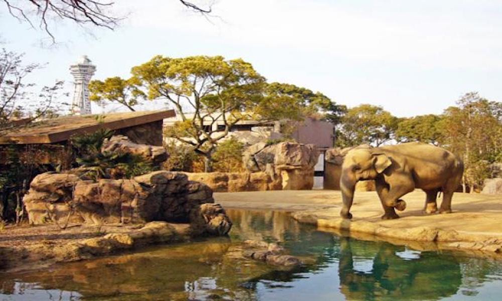 Shinsekai Tennoji Zoo Travel Info - Easy Travel