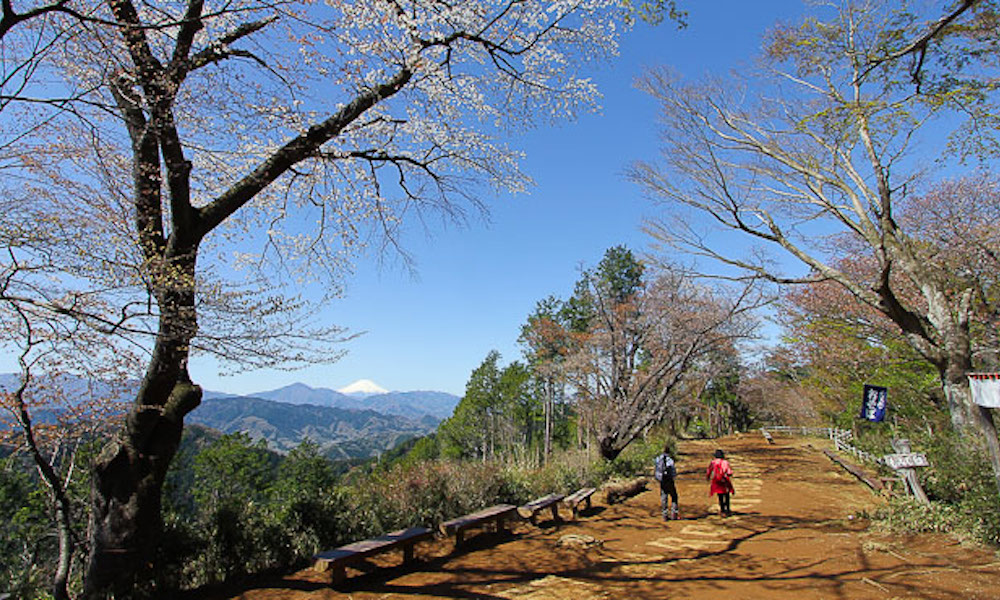 Climbing Mount Takao